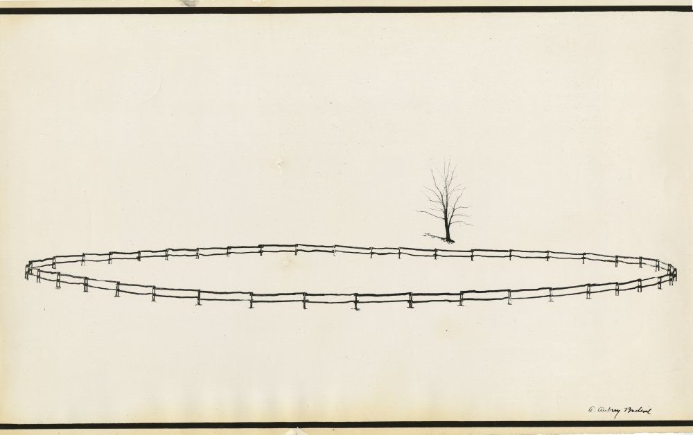 Click for larger image